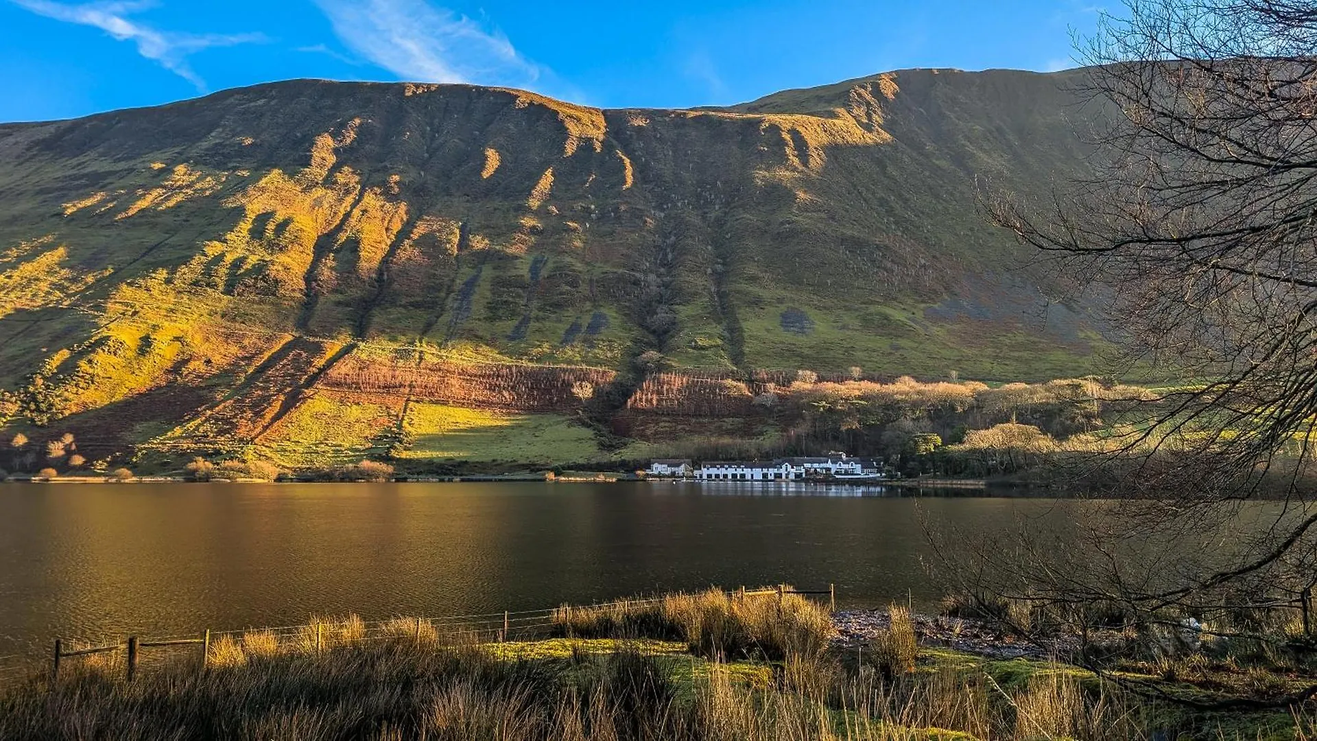 4 Resorts Near Dolgoch Falls Worth Booking in Advance